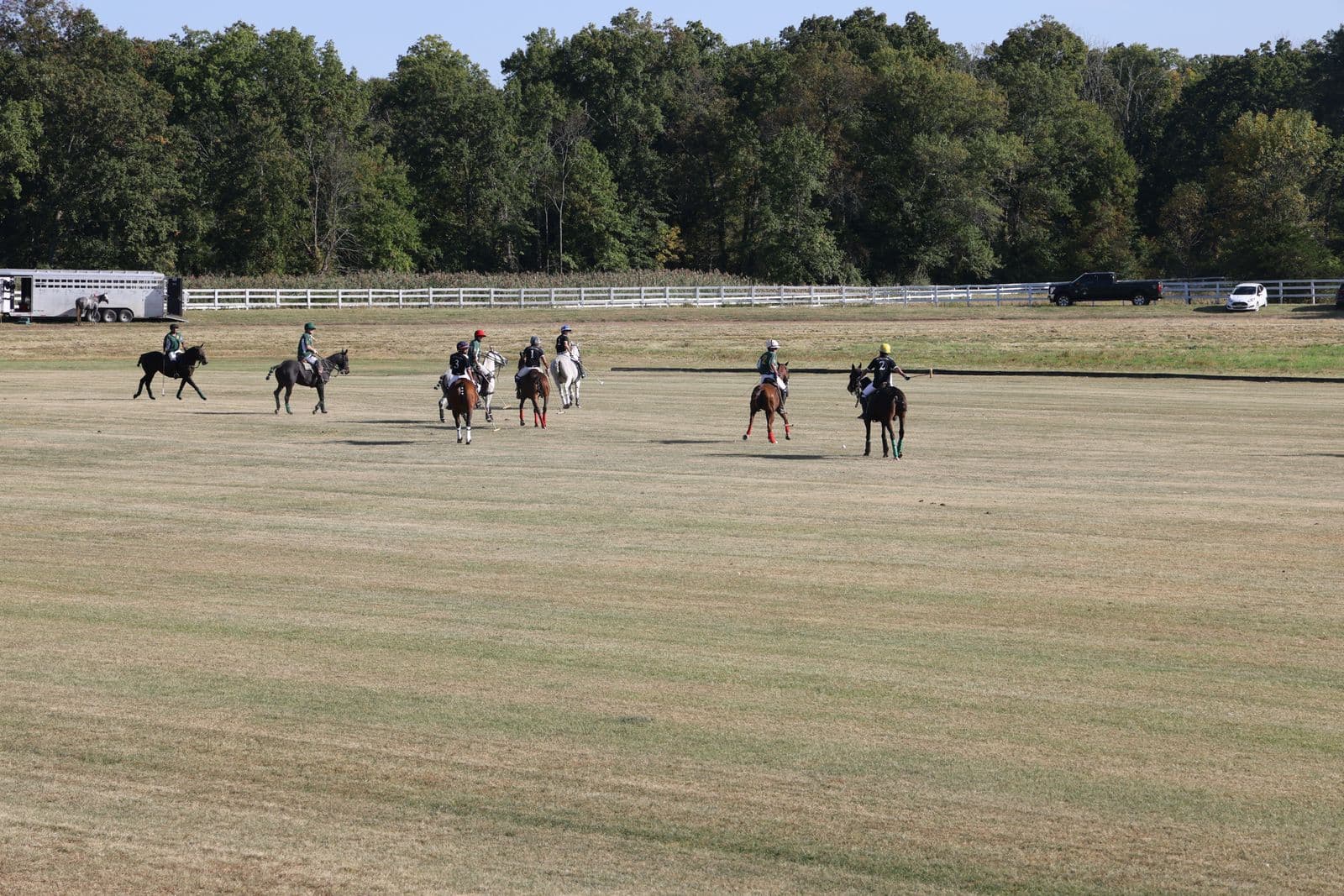 Grass polo field — image 1 of 3
