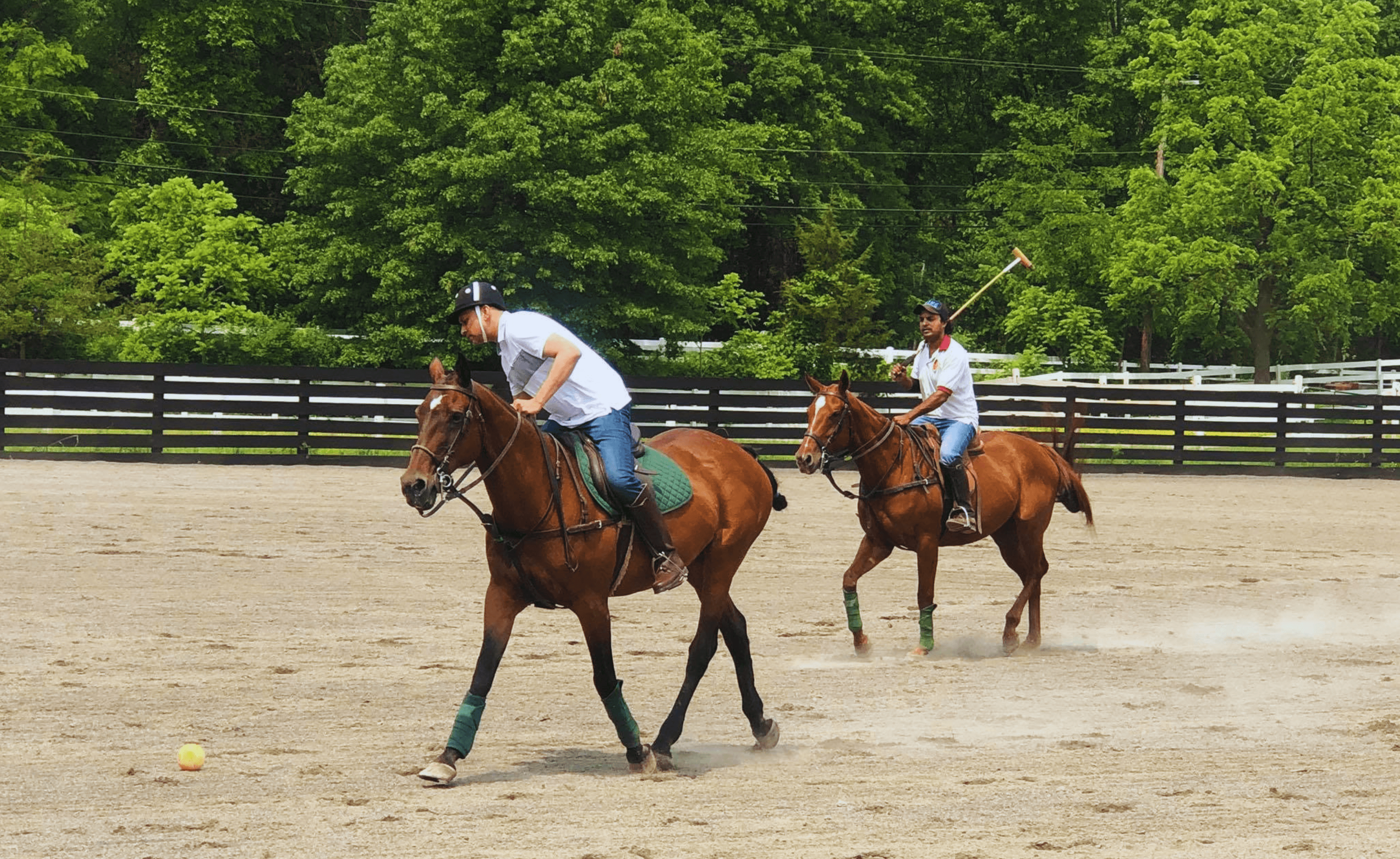 Outdoor polo arena — image 1 of 3